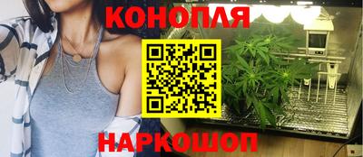 ГАЛЛЮЦИНОГЕННЫЕ ГРИБЫ Ипатово