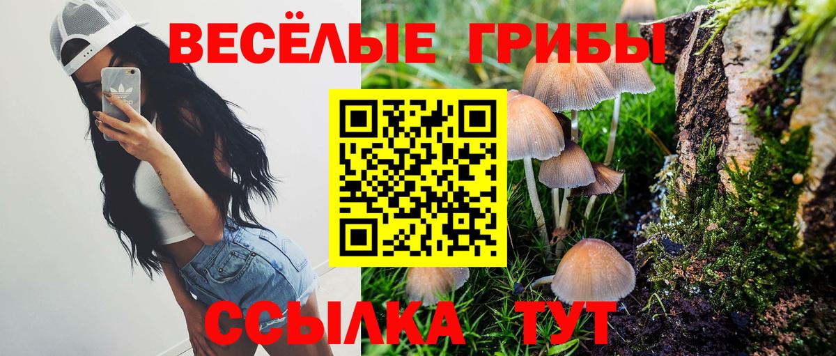 Галлюциногенные грибы Psilocybe  Вход с VPN  хочу   Урюпинск 