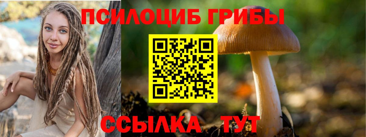Галлюциногенные грибы Psilocybe Урюпинск